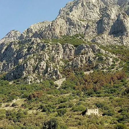 Mileta Makarska